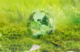 2024 年地球日： 天使酵母继续以生物基材料解决方案应对塑料污染挑战