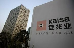 佳兆业集团 (01638.HK) 延长计划最后截止日期