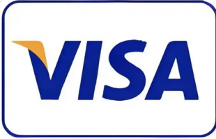 维萨（Visa）面向亚太地区拓展 “智能商务” 解决方案，计划于 2026 年初启动人工智能商务试点项目