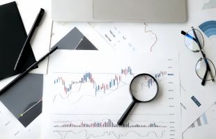 ​港股走势回落，2025年经济稳中有进