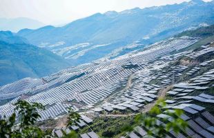 由鲍威尔过度沃什   市场关注美联储降息步伐   