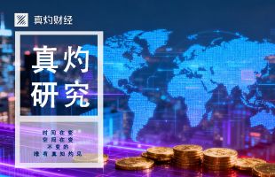 中芯国际(00981.HK):毛利率持续上升