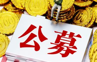 基金中报新指标揭底：“盈利投资者占比”撕下高收益面具  