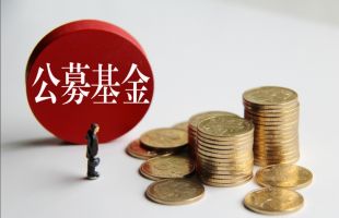抱团退潮冲击公募净值 回撤修复可聚焦三大维度